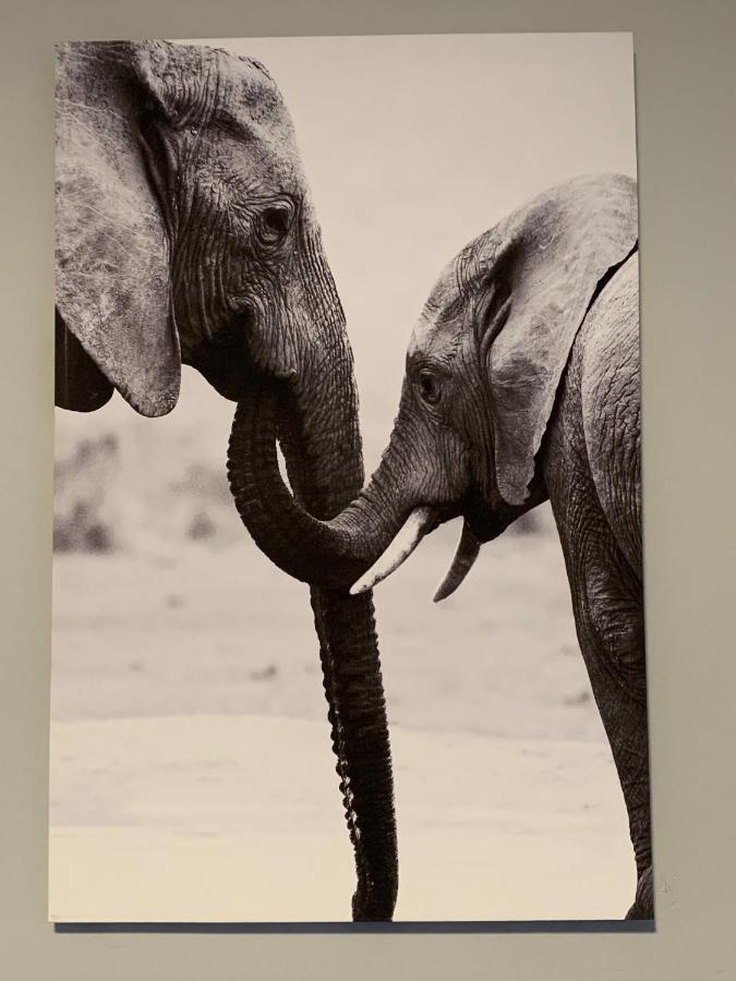 Elephant House, 2 Bedroom House, Next To Pilanesberg And Sun City Mogwase Exterior photo